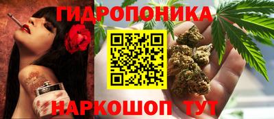 дживик Донецк