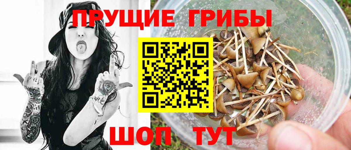 Балашов  Галлюциногенные грибы мухоморы  Вход с VPN 