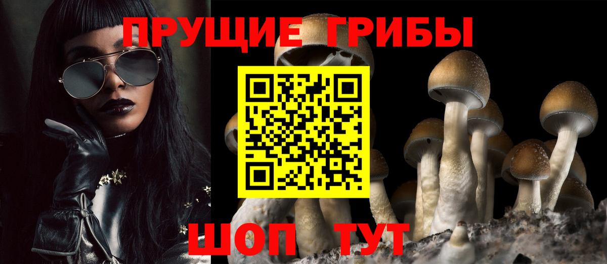 Псилоцибиновые грибы мухоморы Балашов
